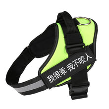 Colorful Dog Harness