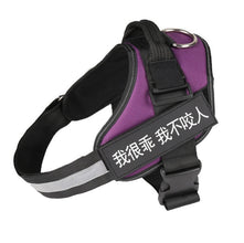 Colorful Dog Harness