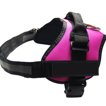 Colorful Dog Harness