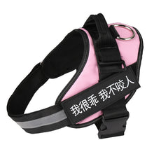 Colorful Dog Harness