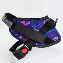 Colorful Dog Harness