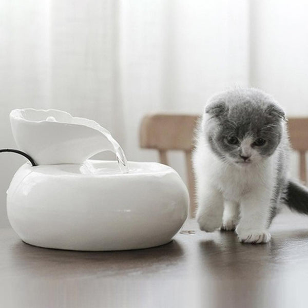 Cat Water Fountain