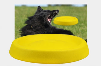 Dog Throwing Toy