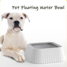 Floating Water Bowl