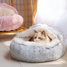 Cat Bed