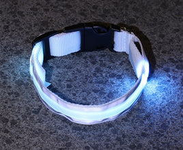 LED Dog Collar