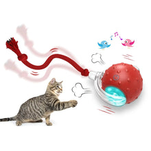 Pet Rolling Ball